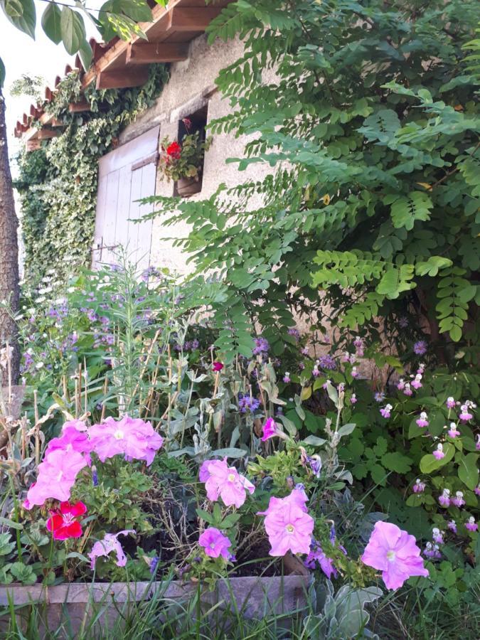 L'Orme-Vial Bed and Breakfast Saint-Galmier Εξωτερικό φωτογραφία