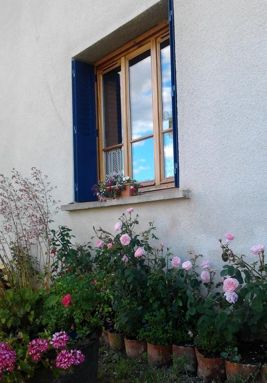 L'Orme-Vial Bed and Breakfast Saint-Galmier Εξωτερικό φωτογραφία